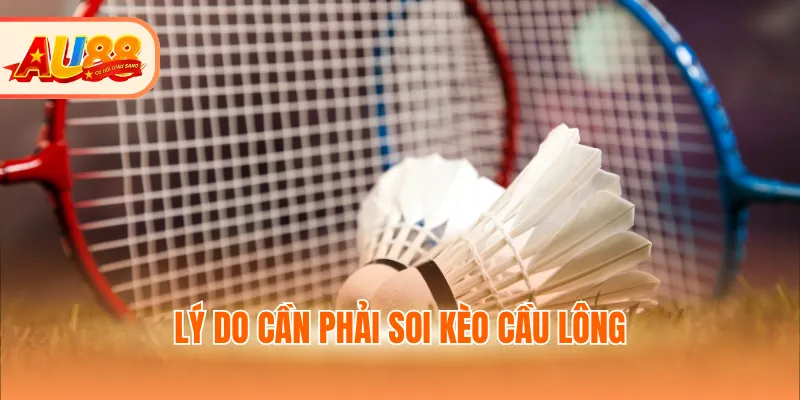 Lý do cần phải soi kèo cầu lông